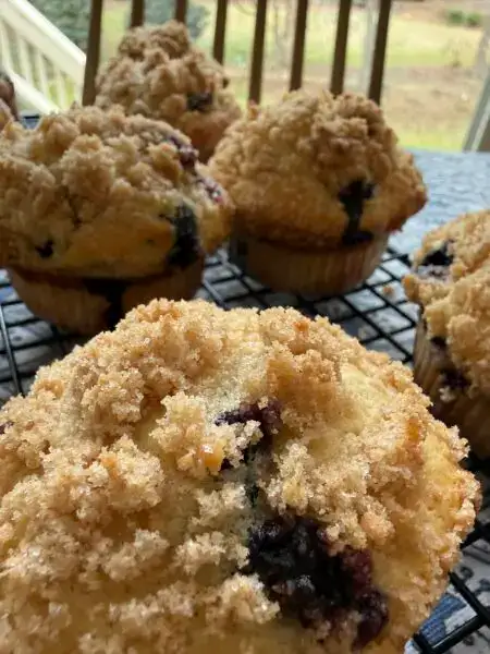 Blueberry muffins with streusel tops, cooling on a rack